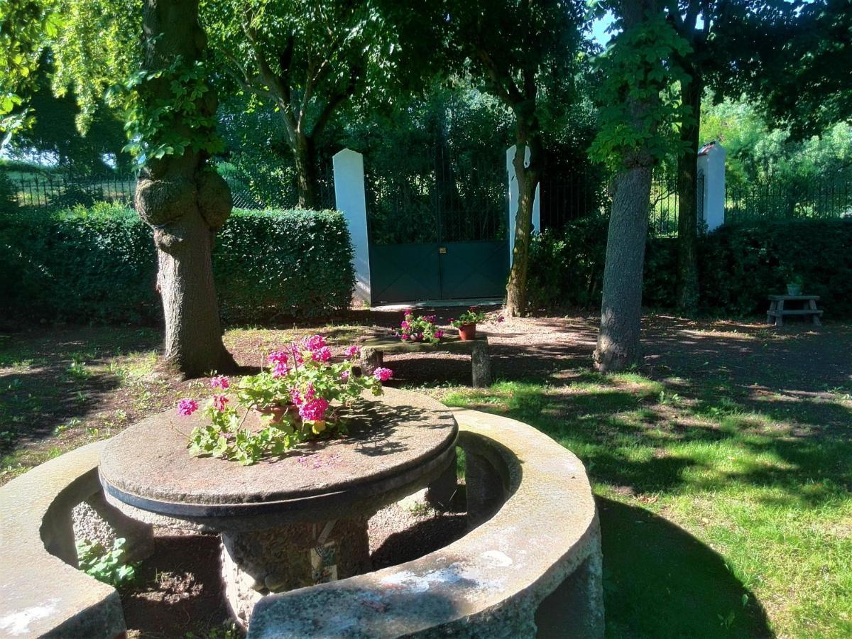 Torre De Codinac Villa San Pedro de Torelló Екстериор снимка